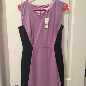 NY&Co dress bundle